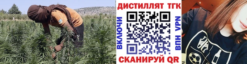 Купить закладки  Новый Уренгой  Дистиллят ТГК жижа 