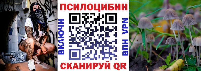 Галлюциногенные грибы Psilocybe  Купить  Новый Уренгой 